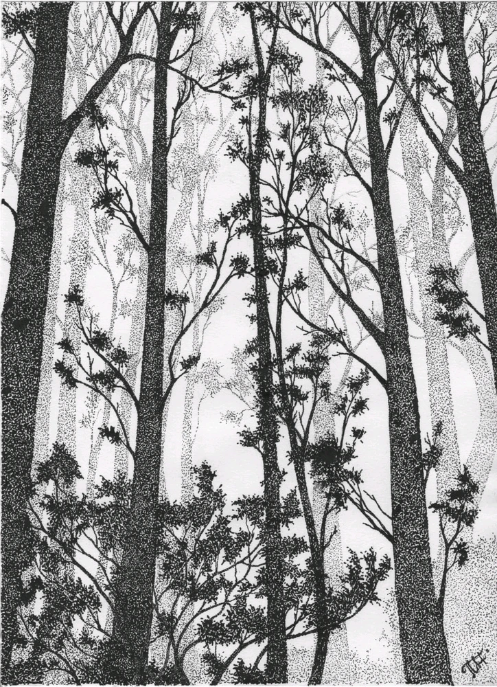 Зображення завантажив Славік