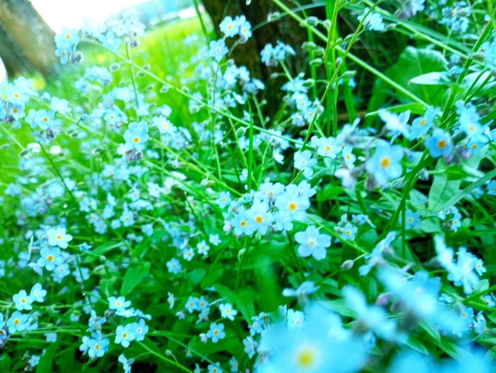 Nuotrauką įkėlė Gintas