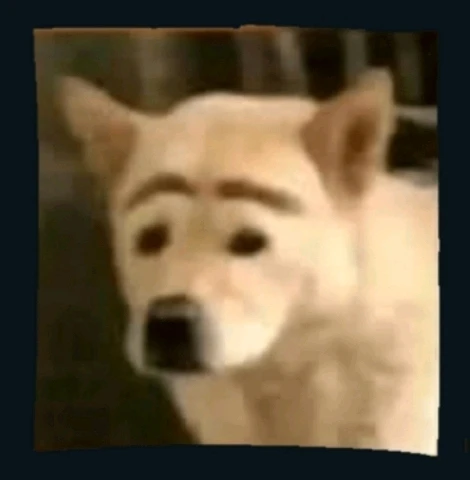 Image uploaded by Susana Flores