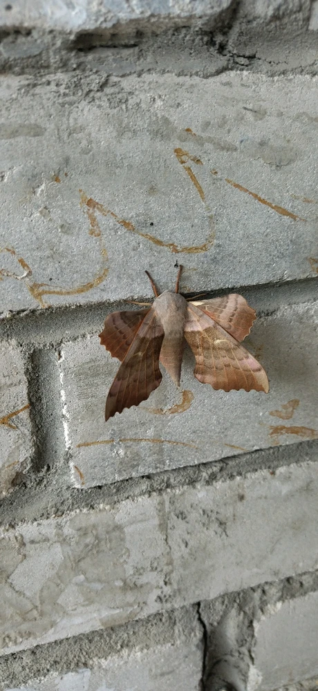 Фото загрузил Мария