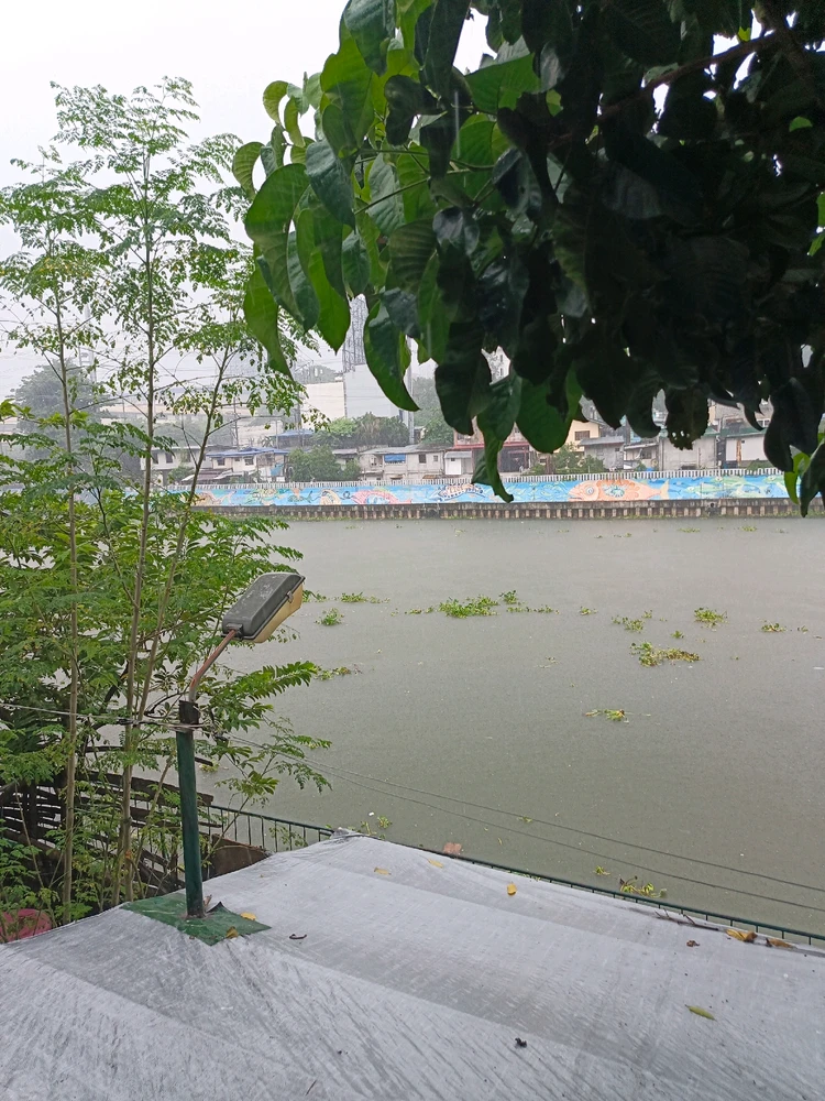 Image uploaded by Crashed