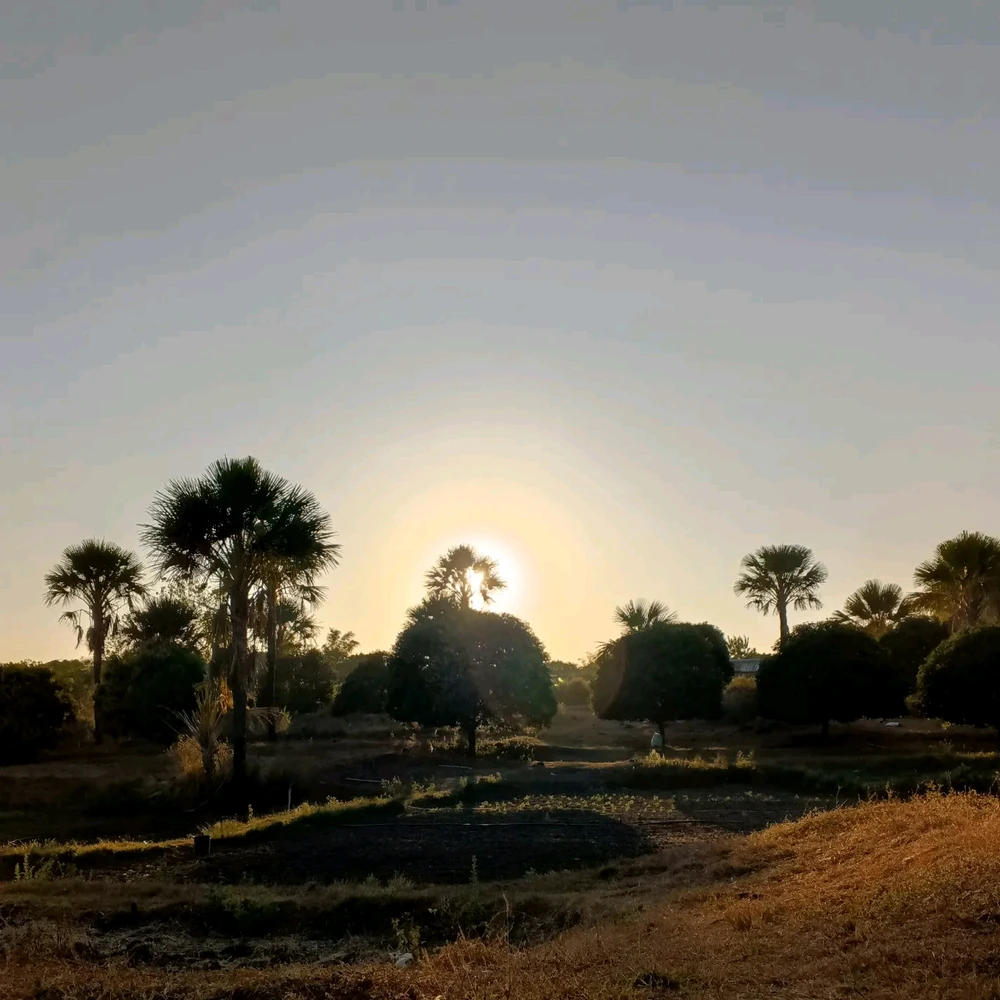 Image uploaded by Bree