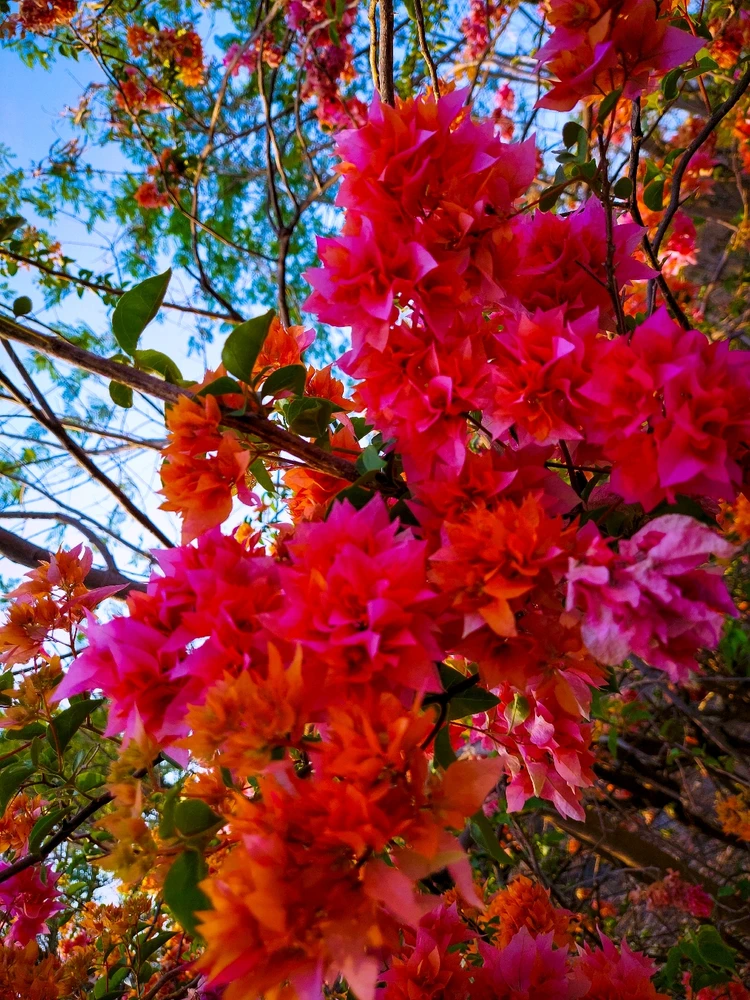 Image uploaded by Madhvan