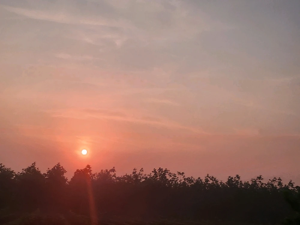 Ảnh do Hannah tải lên