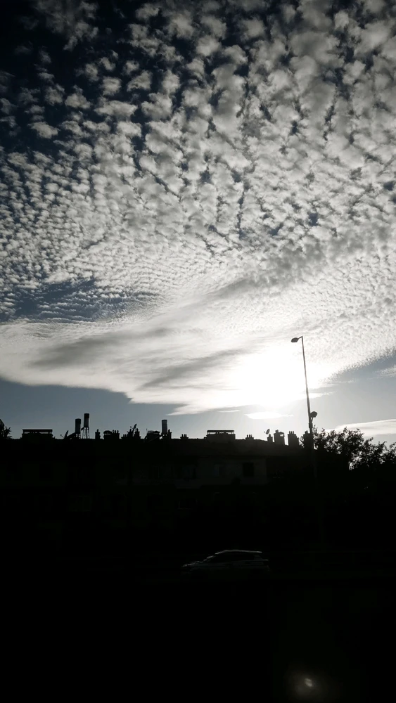 Berkay tarafından yüklenen görsel