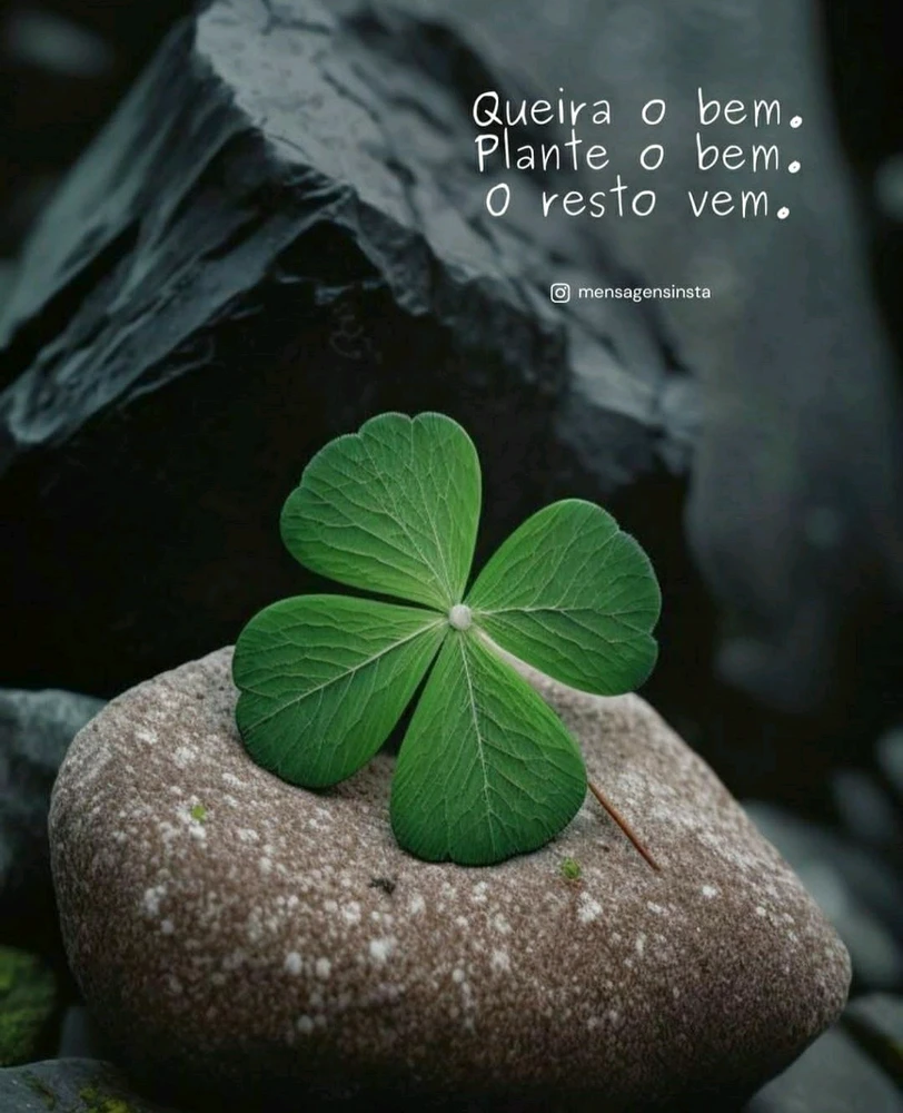 Imagem enviada por Tatiana