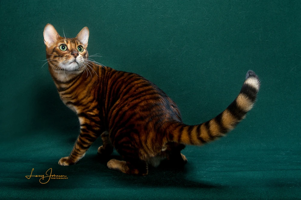 Image uploaded by Lillian