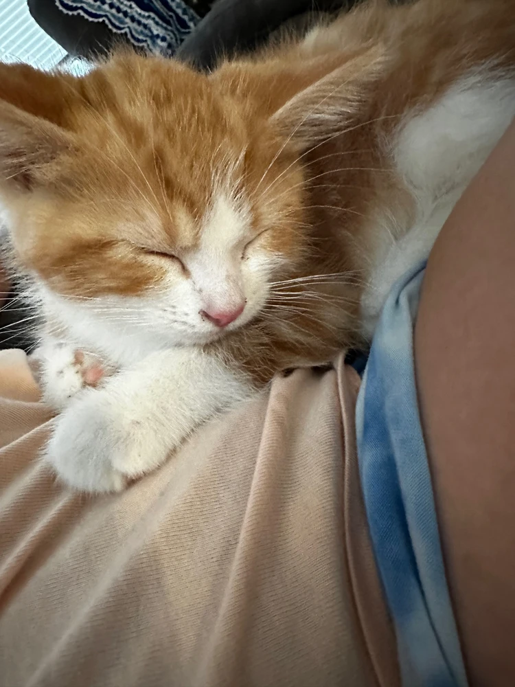 Image uploaded by Angie