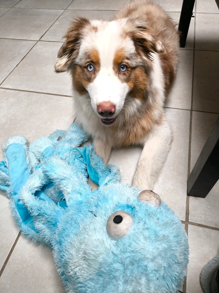 Image ajoutée par Cécile