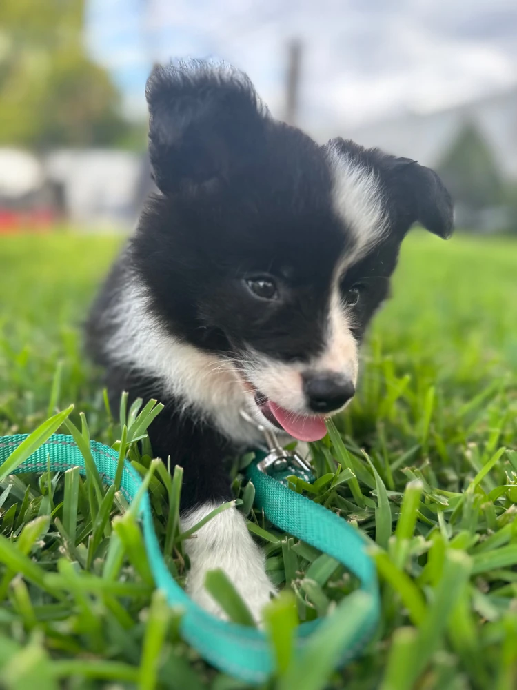 Image uploaded by Evelyn