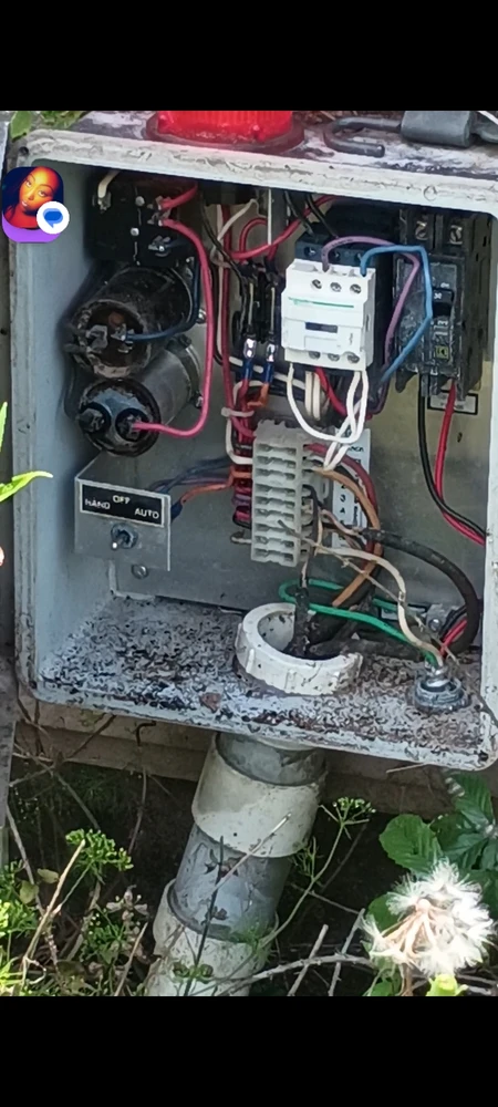 Image uploaded by BigPandaMomma