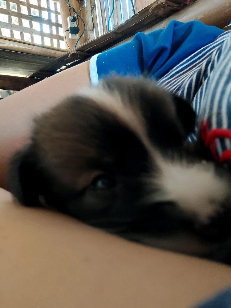 Image uploaded by resha