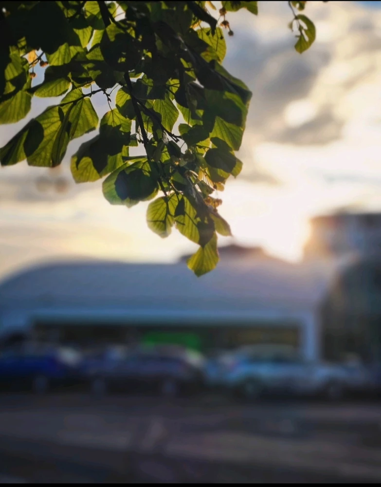 Image uploaded by Sherman