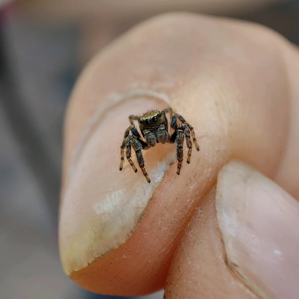 Obrázek nahrál Matěj