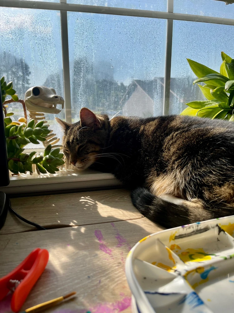 Image uploaded by Morgan