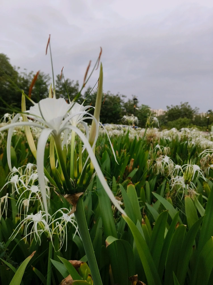 Image uploaded by Aashish