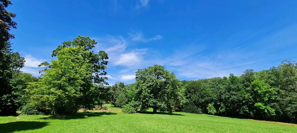 Bild hochgeladen von Peter