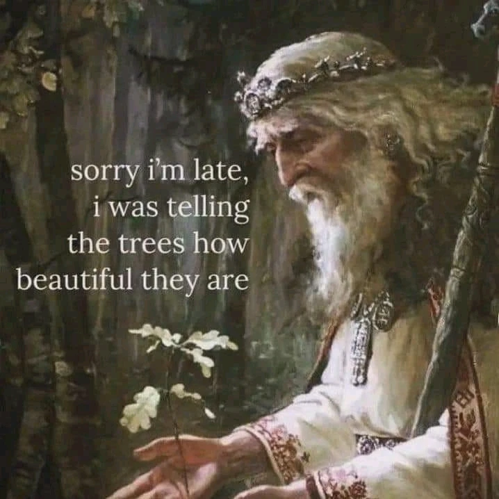 Image uploaded by 🏳️‍⚧️🔮𝙿𝚊𝚐𝚊𝚗𝙱𝚒𝚛𝚍𝚢🪻🏳‍🌈