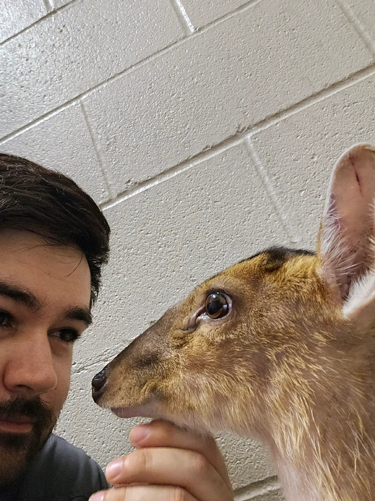 Image uploaded by Hunter