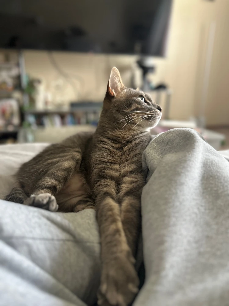 Image uploaded by Kristen