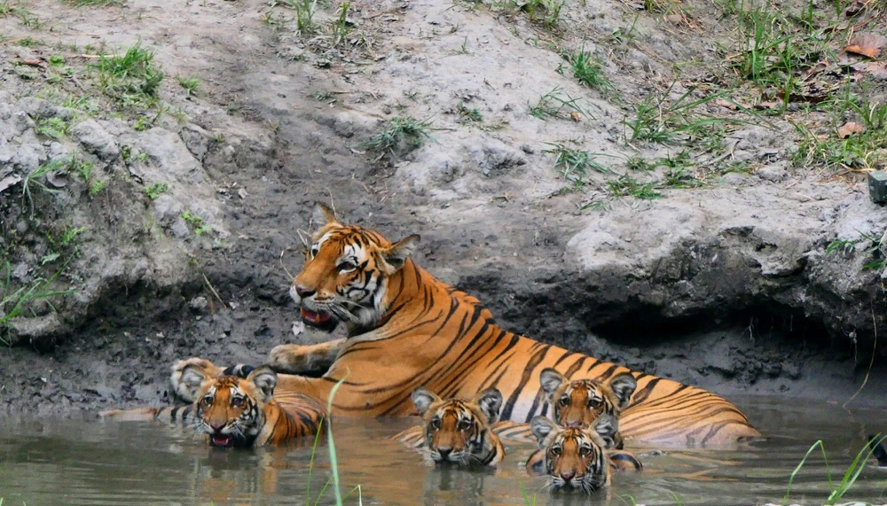 Image uploaded by Simranjit Singh