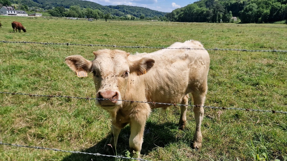 Image ajoutée par Danny