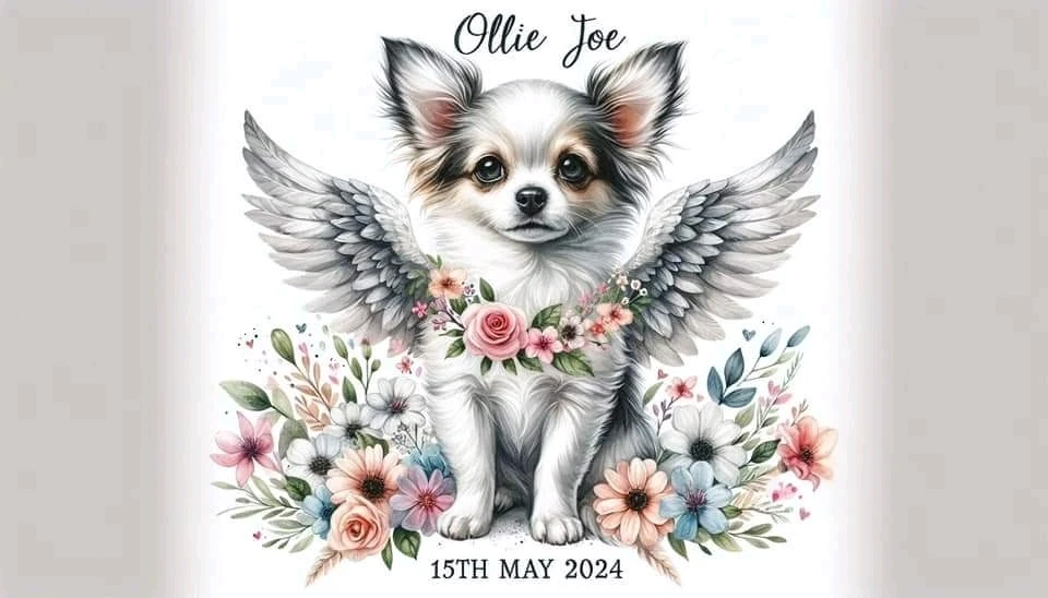 Image uploaded by Mandi