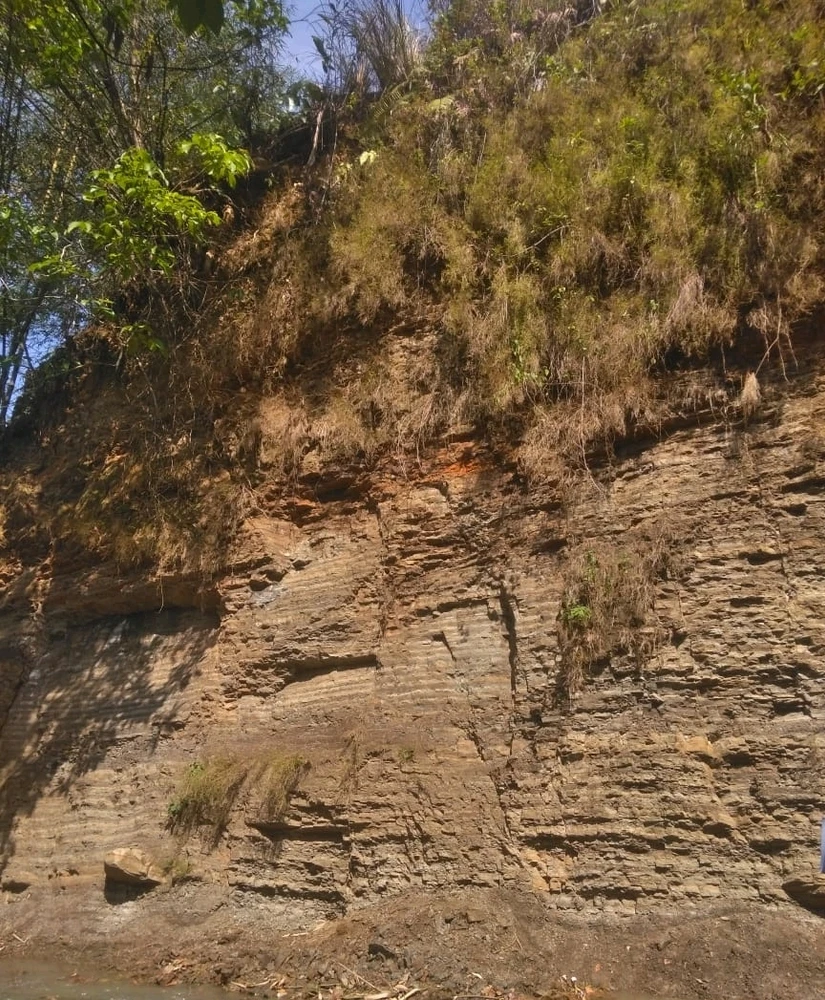 Wall outcrop. Sedimentary rock. Lamination.