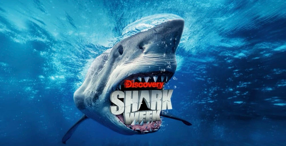 Image uploaded by Emile