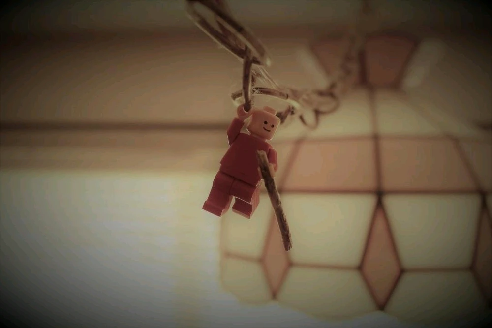 Image uploaded by Josh