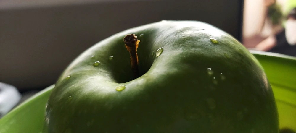 由Josh上传的图片
