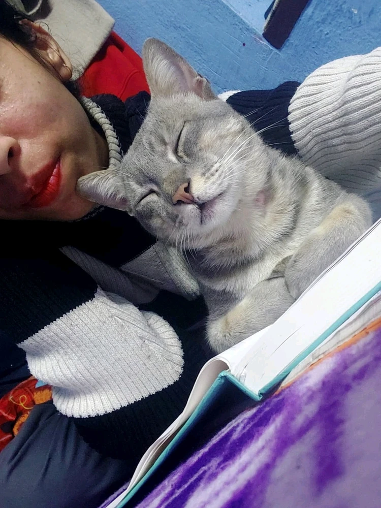 Image uploaded by Shalu