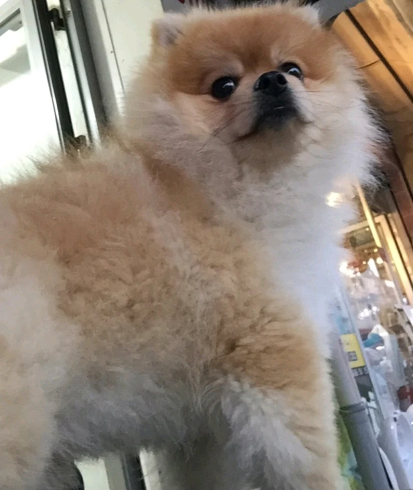 Talha tarafından yüklenen görsel