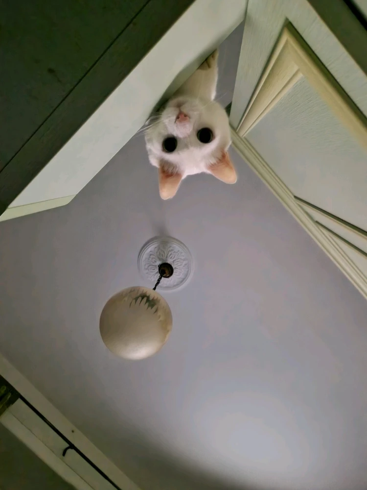 Immagine caricata da Gabriele