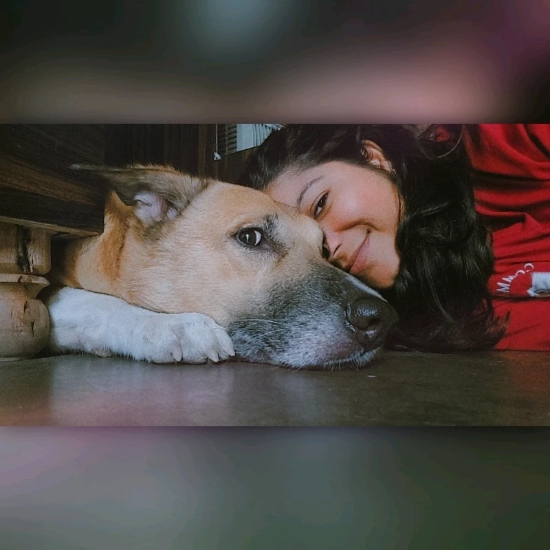 Image uploaded by Meenakshi