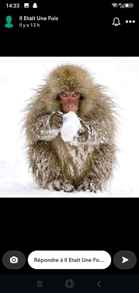 Image ajoutée par Héraclès