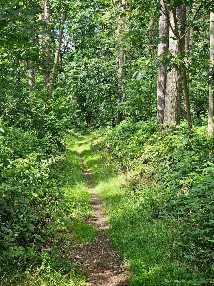 Obrázek nahrál Tomáš