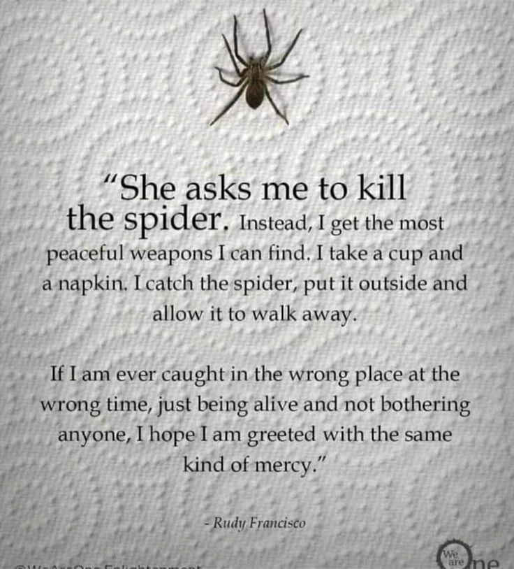 Afbeelding geüpload door 🦋Spiritual Dutch Girl🦋