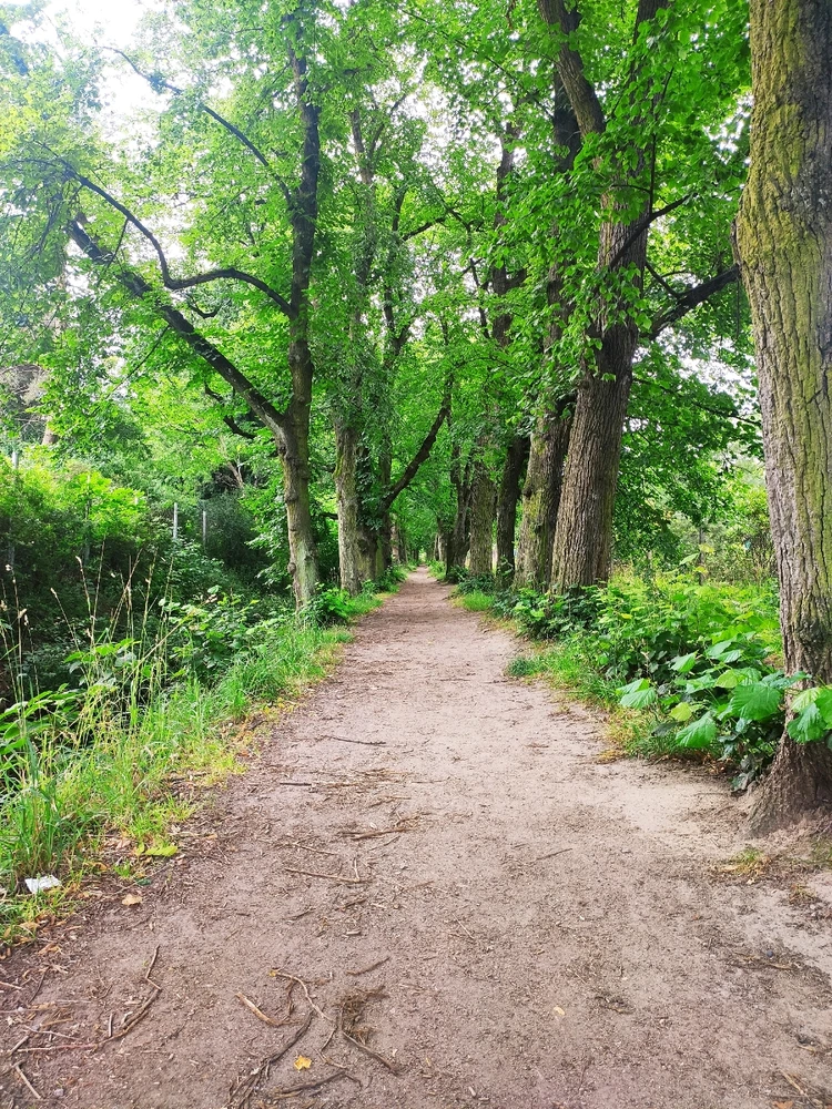 Obrázek nahrál Jan