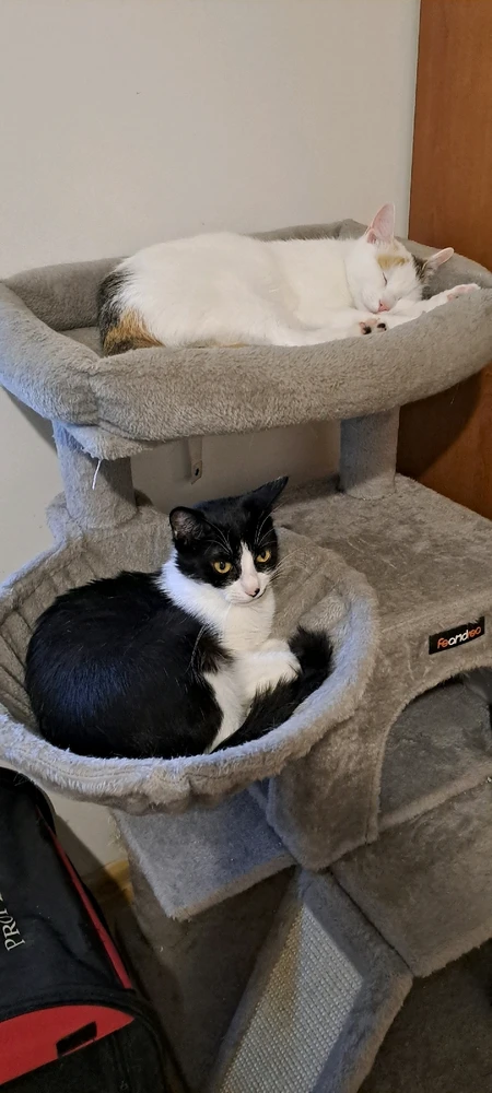 Zdjęcie dodane przez Zofia Bo-tak!