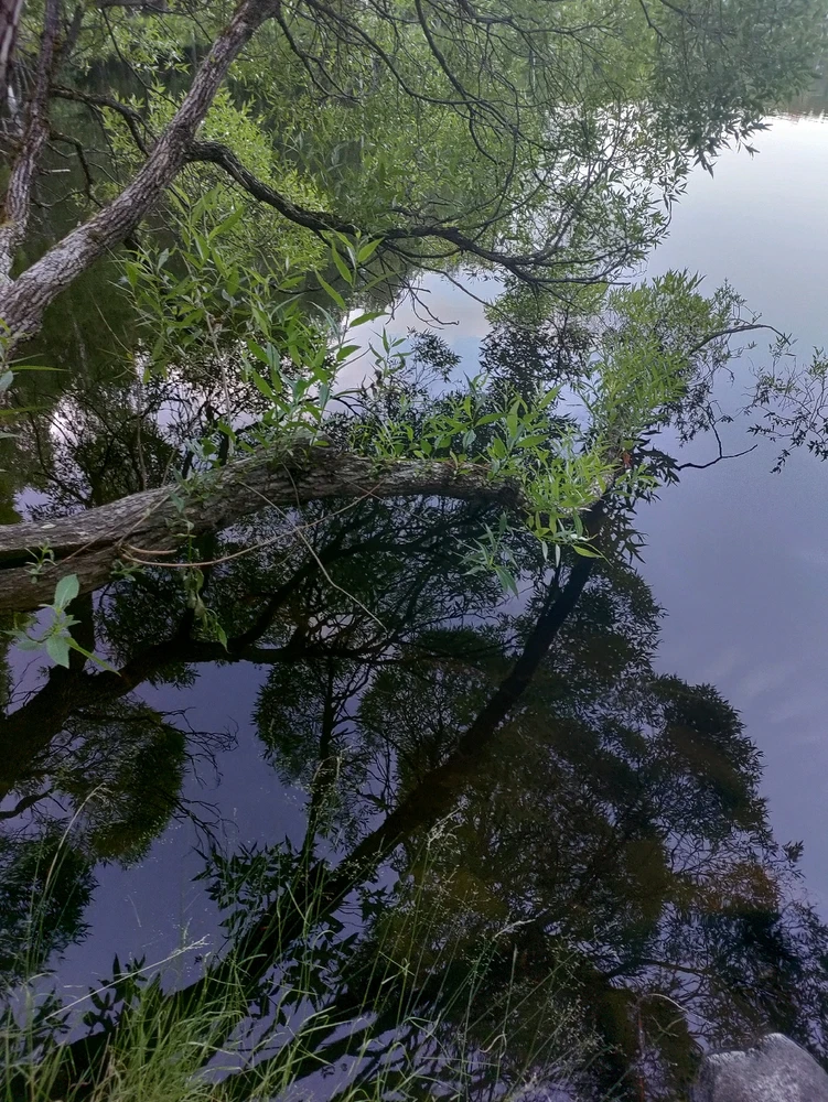 Image uploaded by Hton'