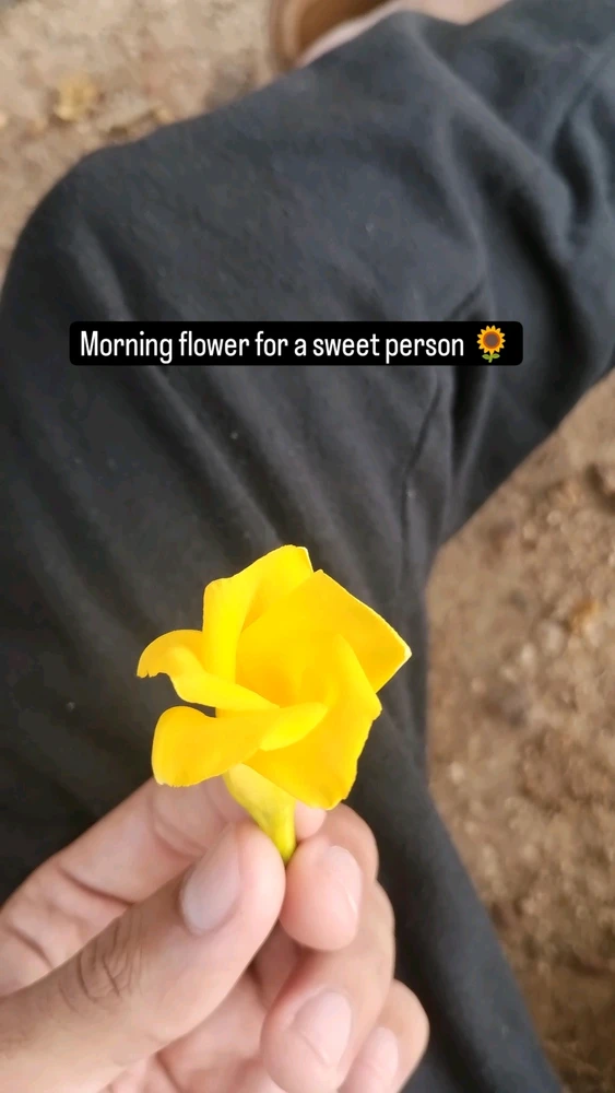 I-upload ni RAHUL ang larawan