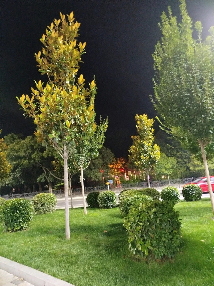 Mary پاران اپ لوڊ ڪيل تصوير