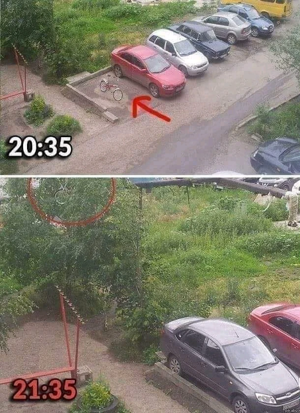 Sliku je učitao/la Nedeljko