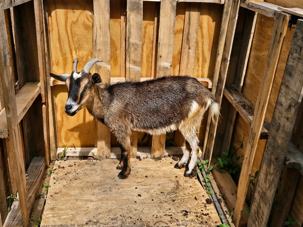 Image uploaded by 💋🦊Vixen🦊💋