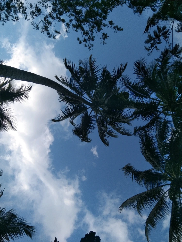 Image uploaded by Eka