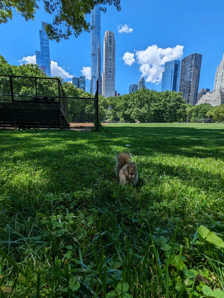 Gambar diunggah dening Stacey