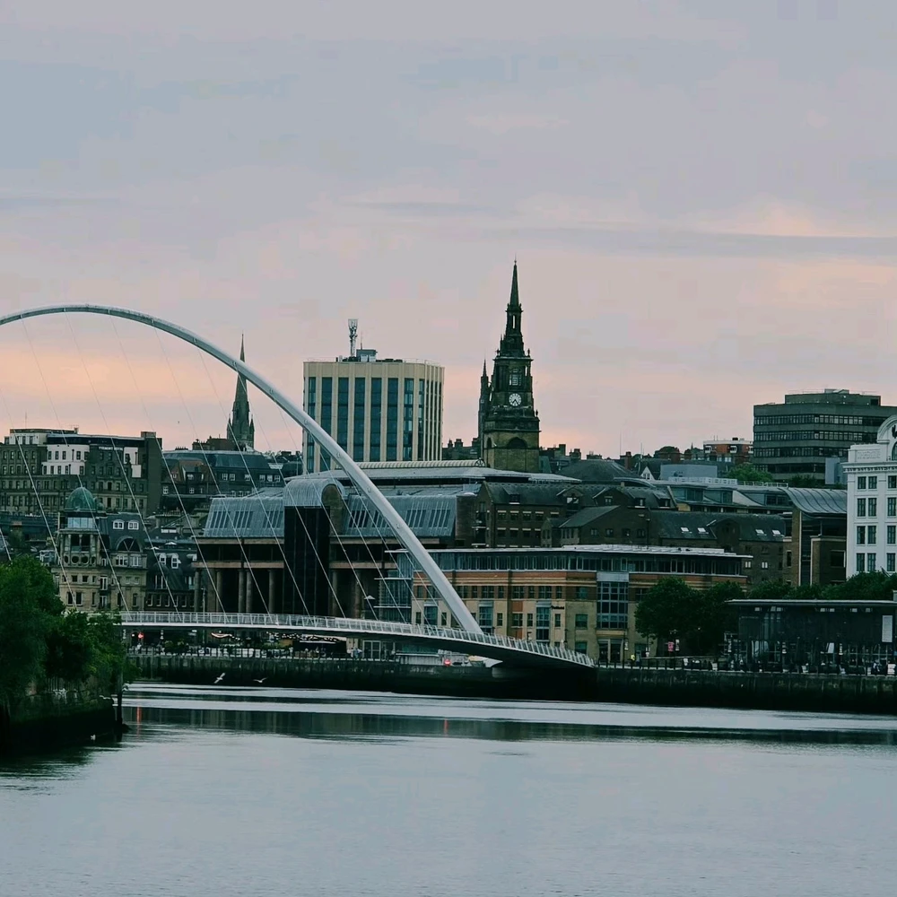 Image uploaded by Mohtashim Sadiq