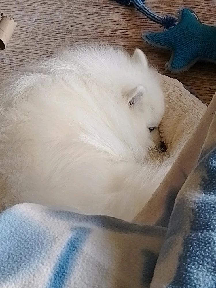 Billede uploadet af Martin