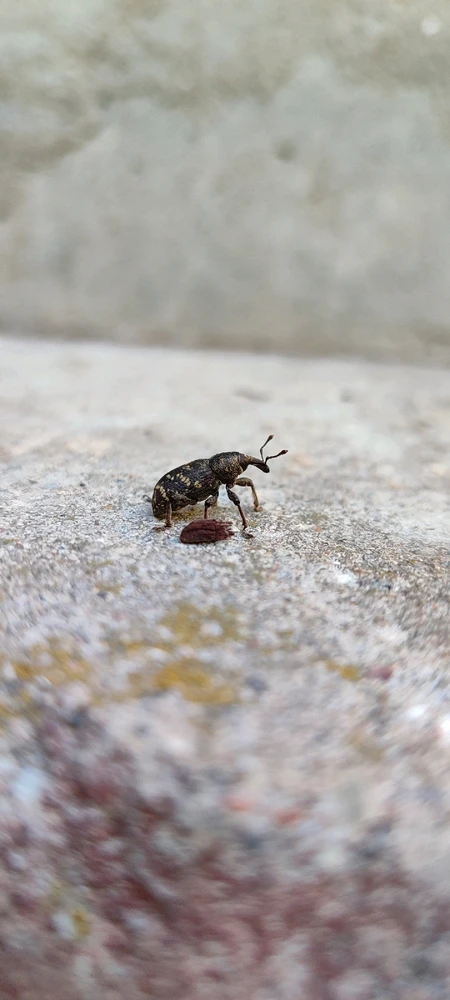 Фото загрузил Ярослава